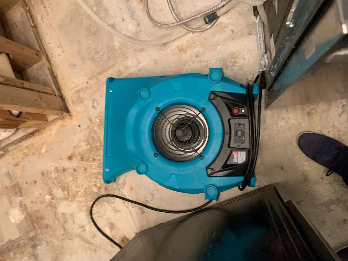 Air mover drying equipment for Mold Remediation & Removal in Manhattan
